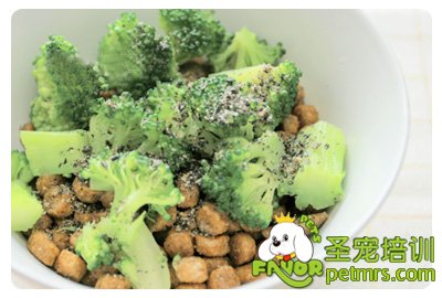 狗狗花椰菜料理