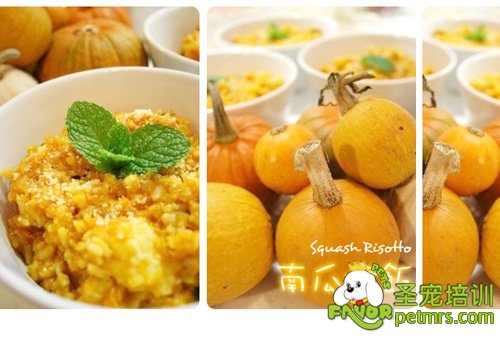 狗狗食譜之南瓜燉飯