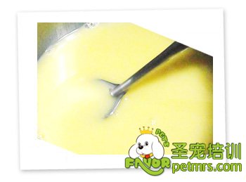 狗狗食譜之美味茶碗蒸
