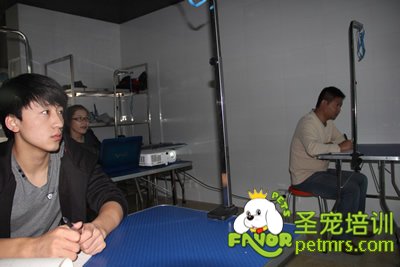 圣寵寵物醫療理論課程
