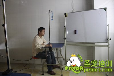 圣寵寵物醫療理論課程