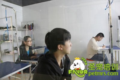 圣寵寵物醫療理論課程