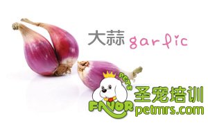 大蒜