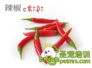 辣椒