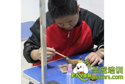 圣寵寵物陶藝課學員作品