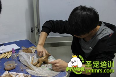 圣寵寵物陶藝課學員作品