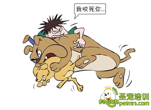 狗狗狂犬病
