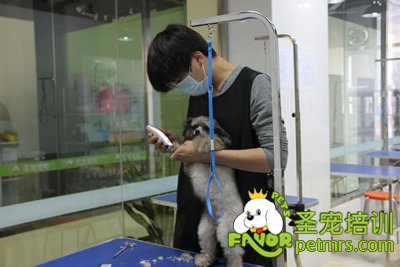 學員在認真的完成自己的考試