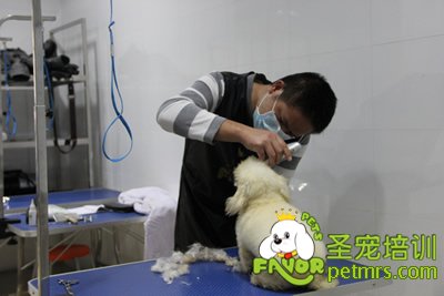 學員在認真的完成自己的考試