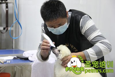 學員在認真的完成自己的考試