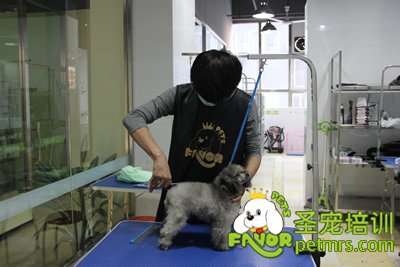 學員在認真的完成自己的考試