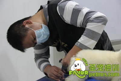 學員在認真的完成自己的考試
