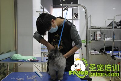 學員在認真的完成自己的考試