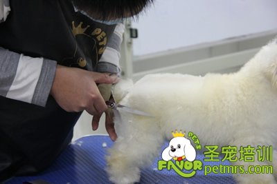 學員在認真的完成自己的考試