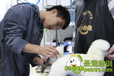 老師對學生考試作品給予評分