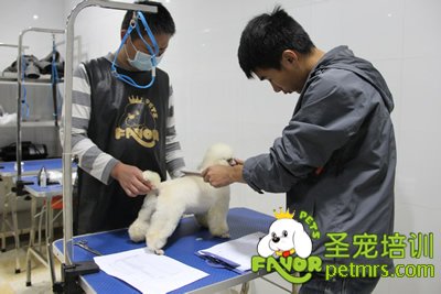 老師對學生考試作品給予評分