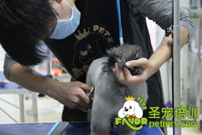 圣寵學員考試進行中