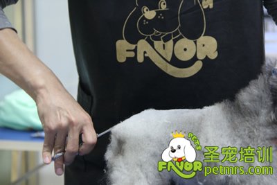 圣寵學員考試進行中