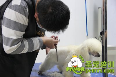 圣寵學員考試進行中