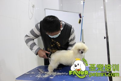 圣寵學員考試進行中