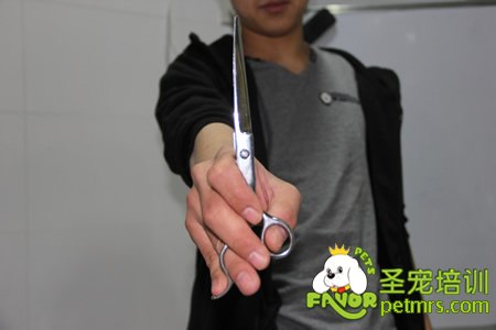 剪刀正確的拿法