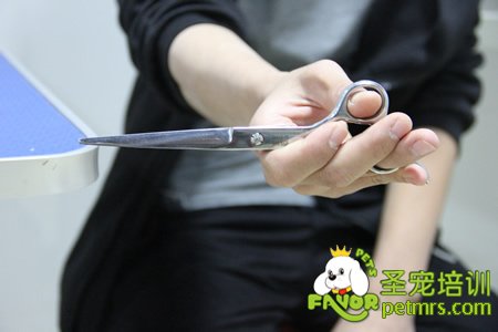 剪刀正確的拿法:反向修剪