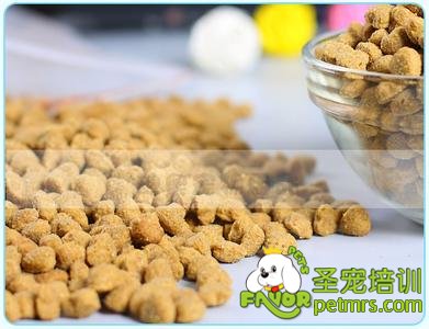 狗糧的類型