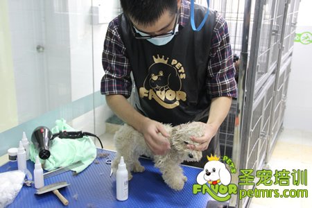 圣寵學員護理實操課