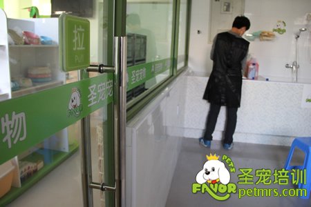 圣寵寵物歡樂谷店環境