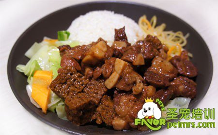 狗狗美食