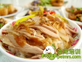 狗狗雞肉飯