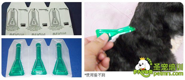 狗狗防蟲