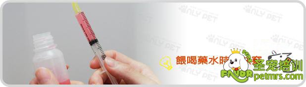 狗狗吃藥