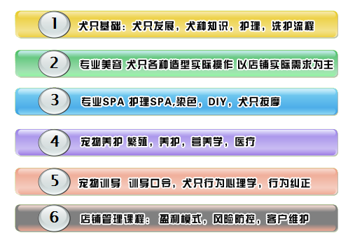 店鋪技術班課程大綱