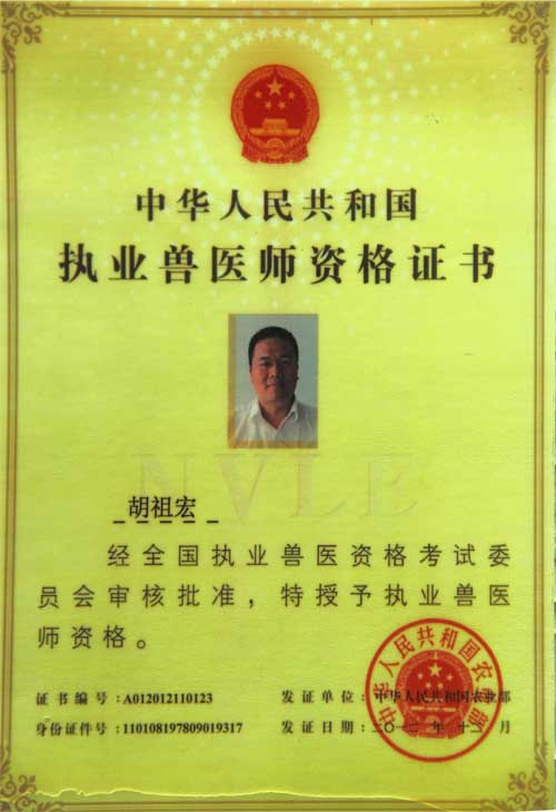 醫師資格證書