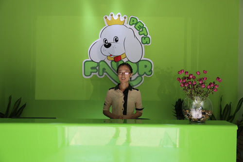 圣寵寵物美容學校前臺