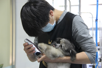 圣寵學員劉志明