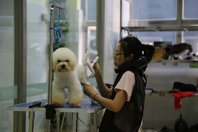 圣寵學子風采