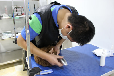 圣寵學子風采