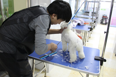 圣寵學子苦練基本功