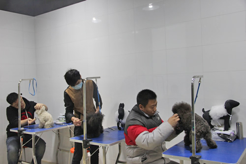 店鋪技術班第1期學員吹風拉毛