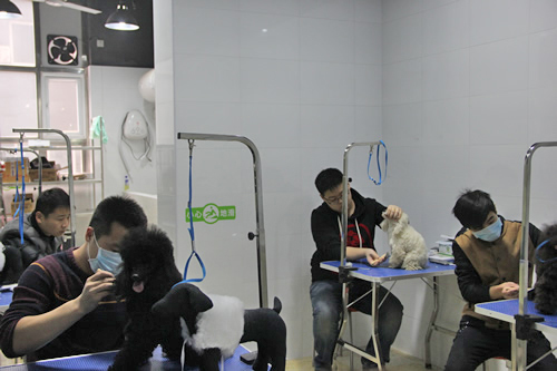店鋪技術班第1期學員吹風拉毛