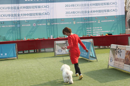 牽犬師