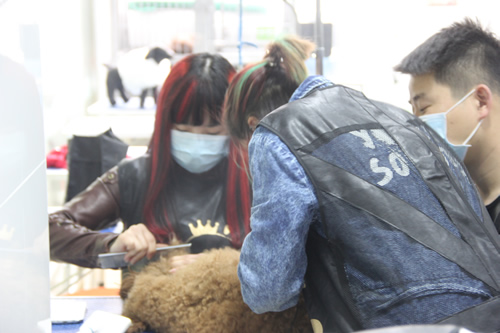 店鋪技術班第2期學員練習梳毛