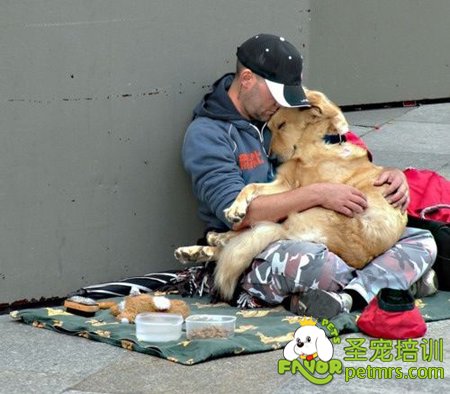 狗狗不會離開主人