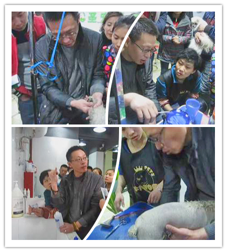 寵物spa課堂