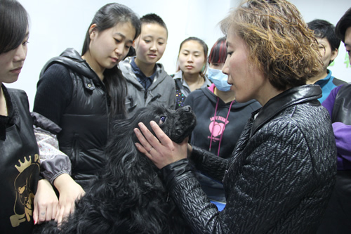 可卡犬講解課堂