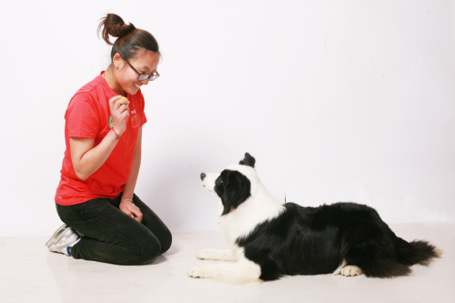 國際知名訓犬師-劉小芹