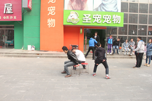 圣寵寵物晨會游戲