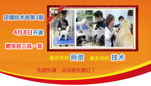 店鋪技術班開課優惠放送